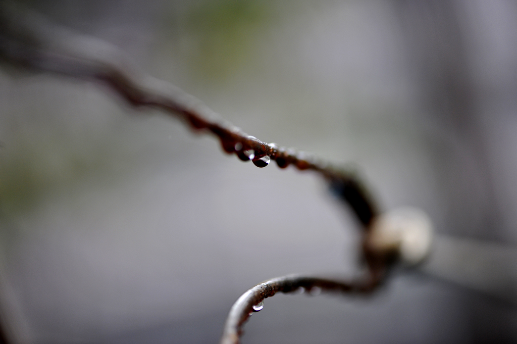 _DSC3149.jpg