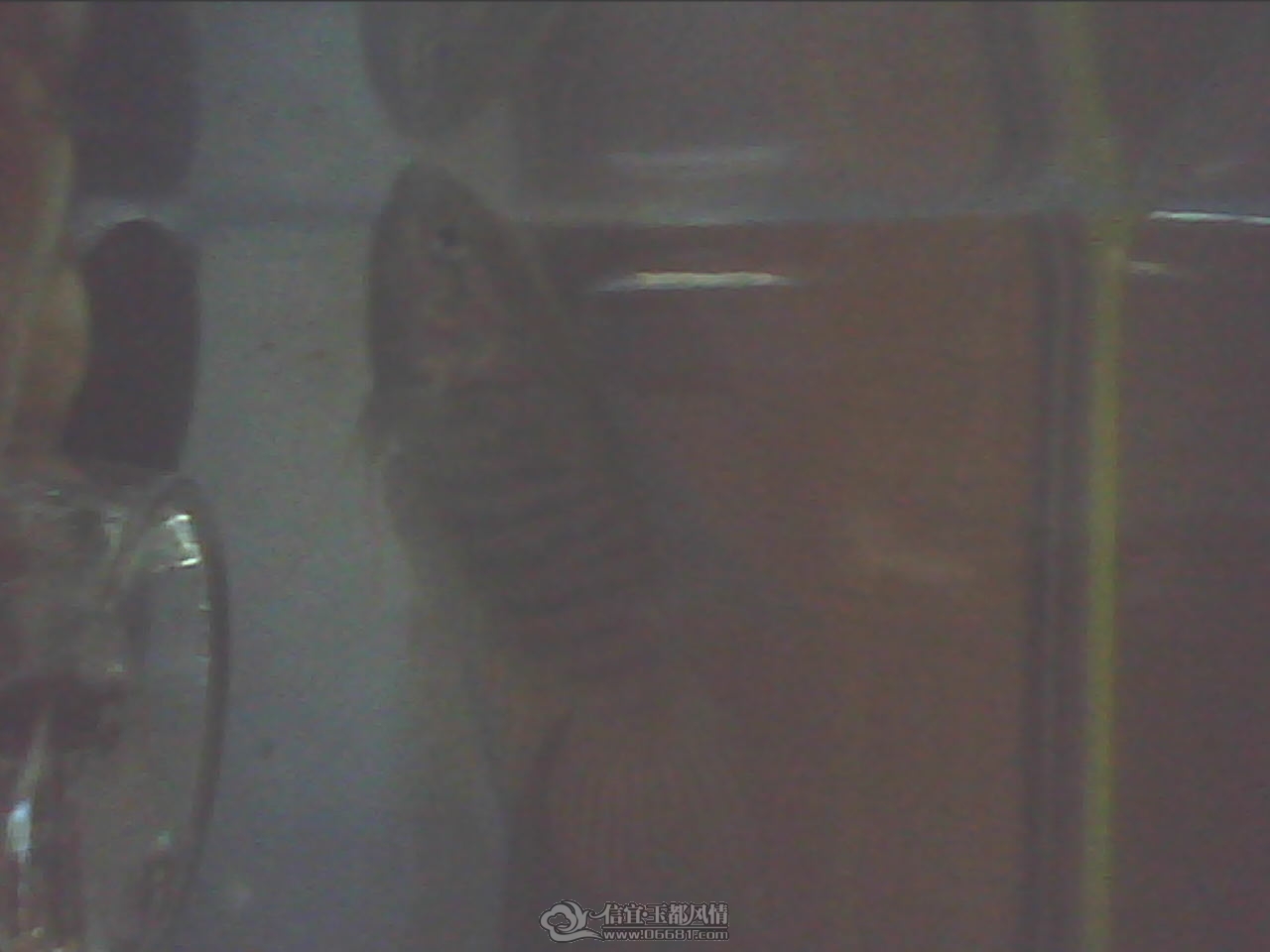 201201181625451.jpg