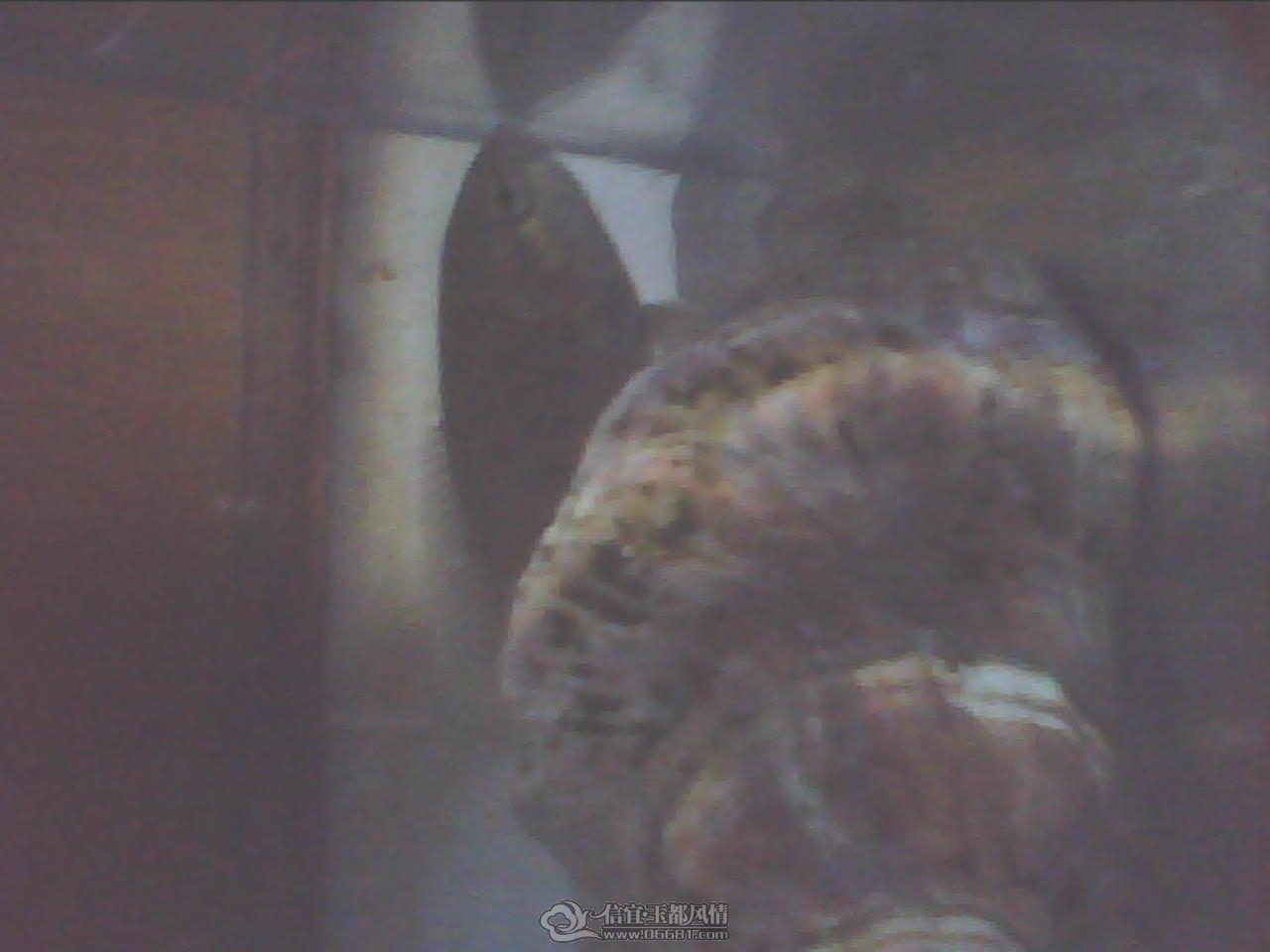 201201181626491.jpg
