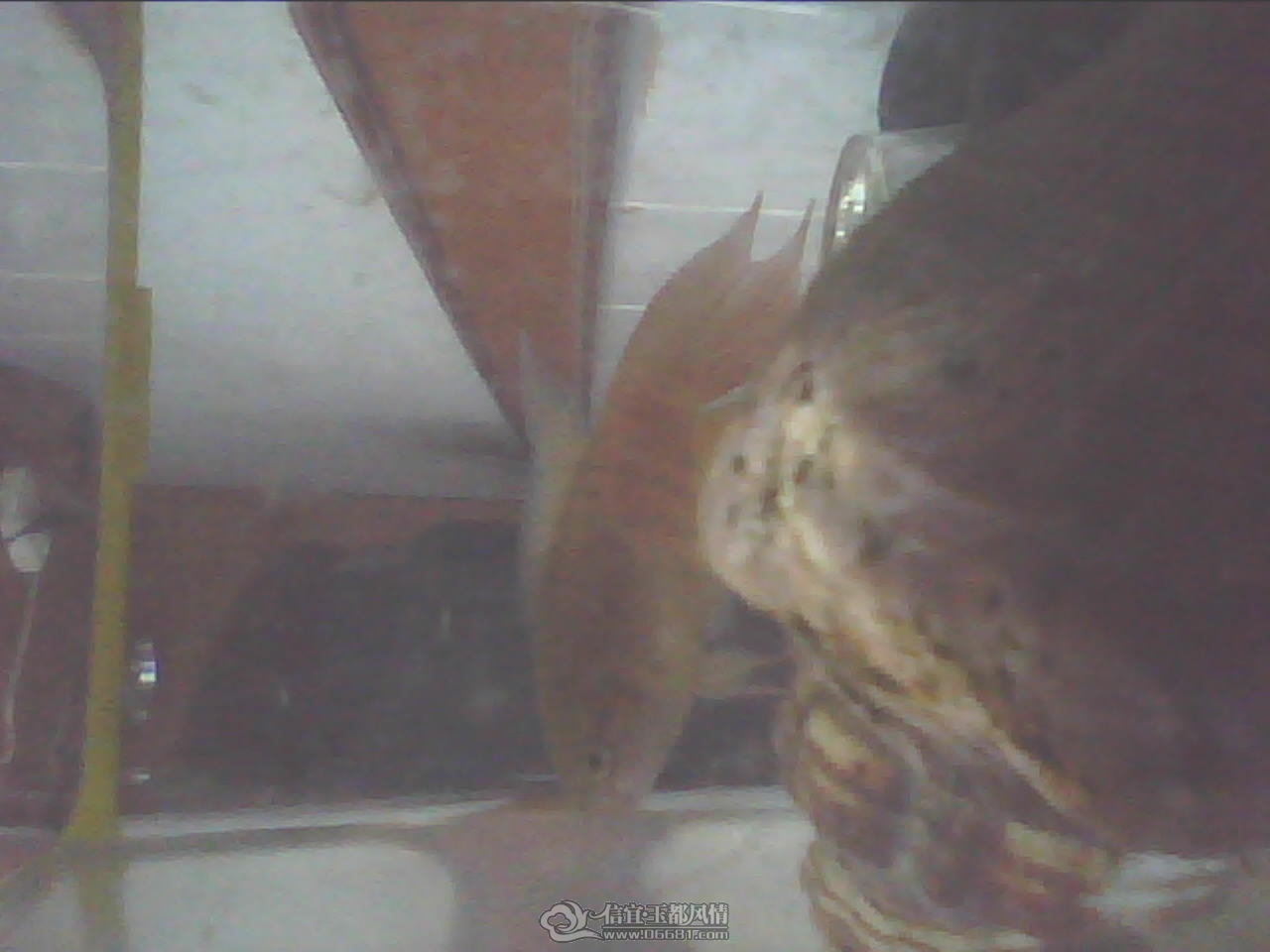 201201181627281.jpg