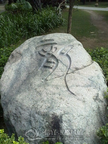 20111129137.jpg