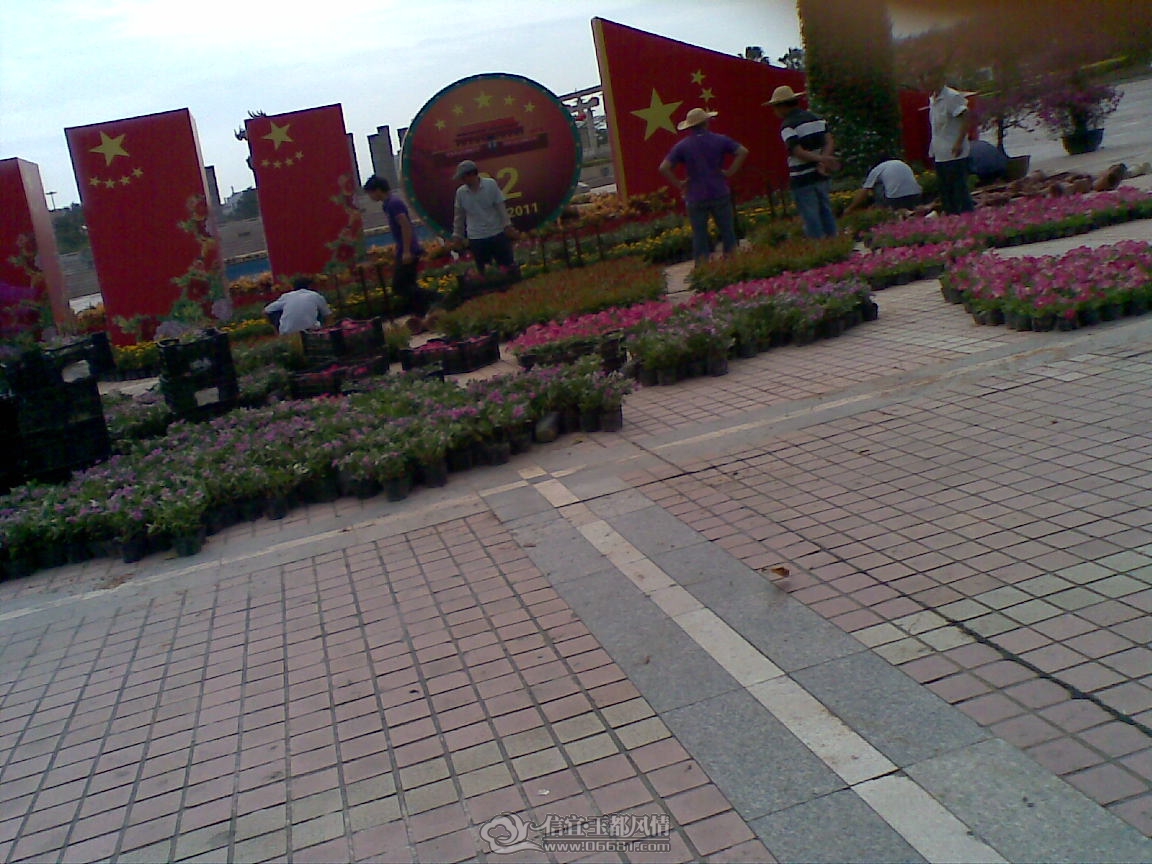 20110928(003).jpg