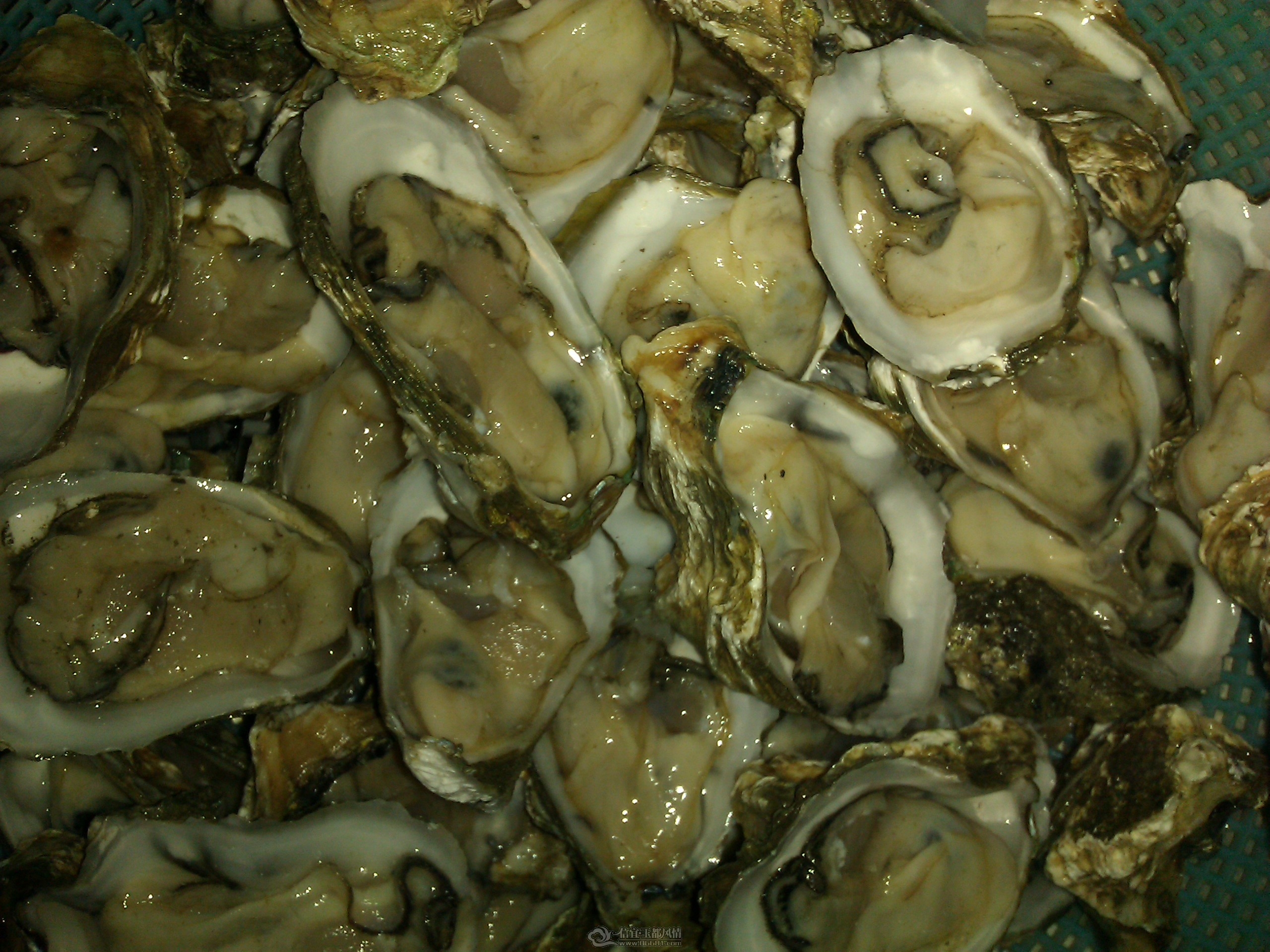 IMG_20120118_194615.jpg