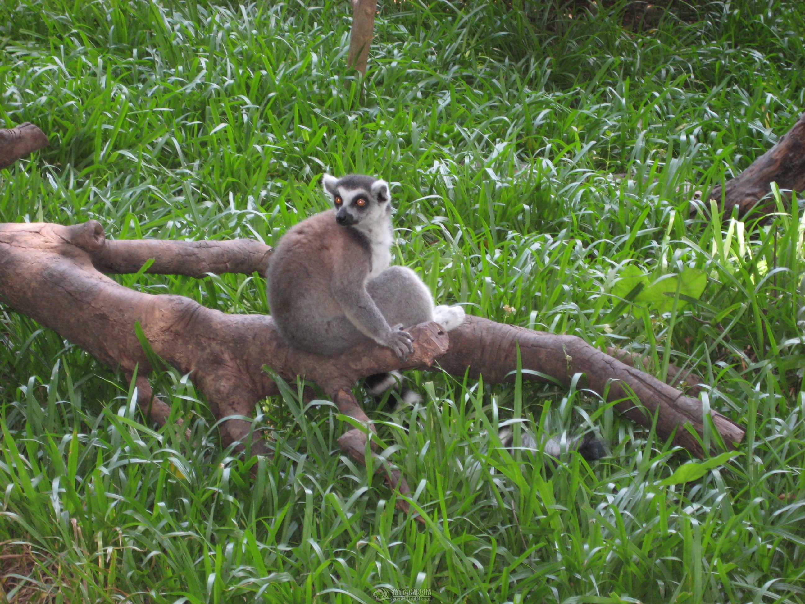 IMG_4624.jpg