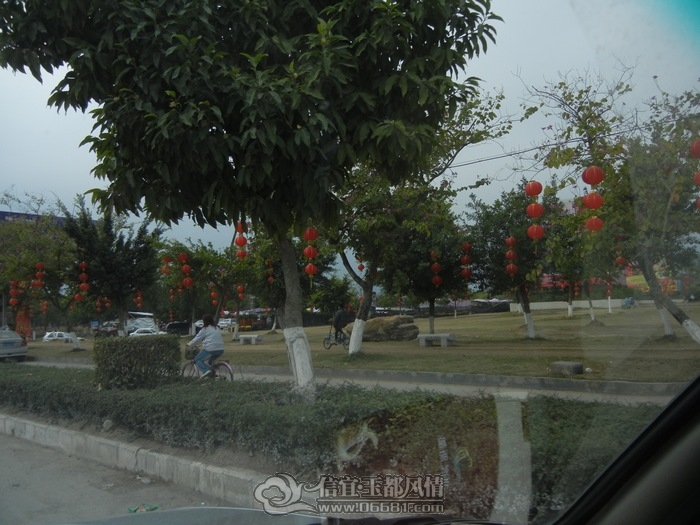 DSCN0756.jpg