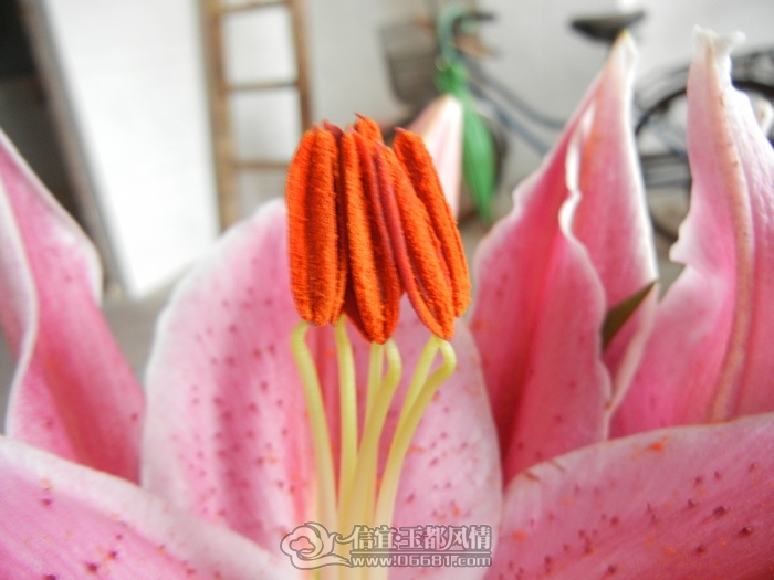 DSCN0774.jpg