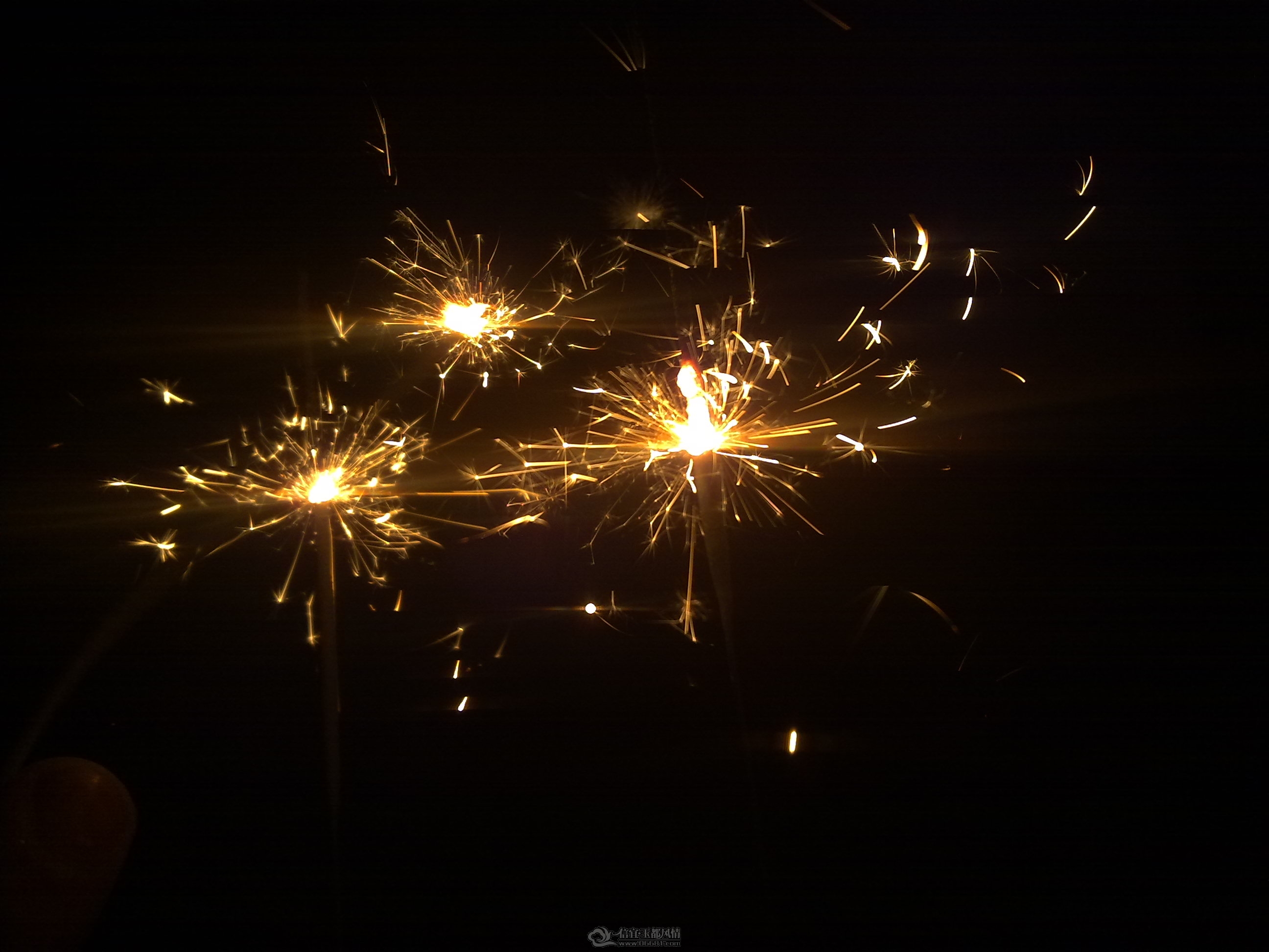 20120122845.jpg