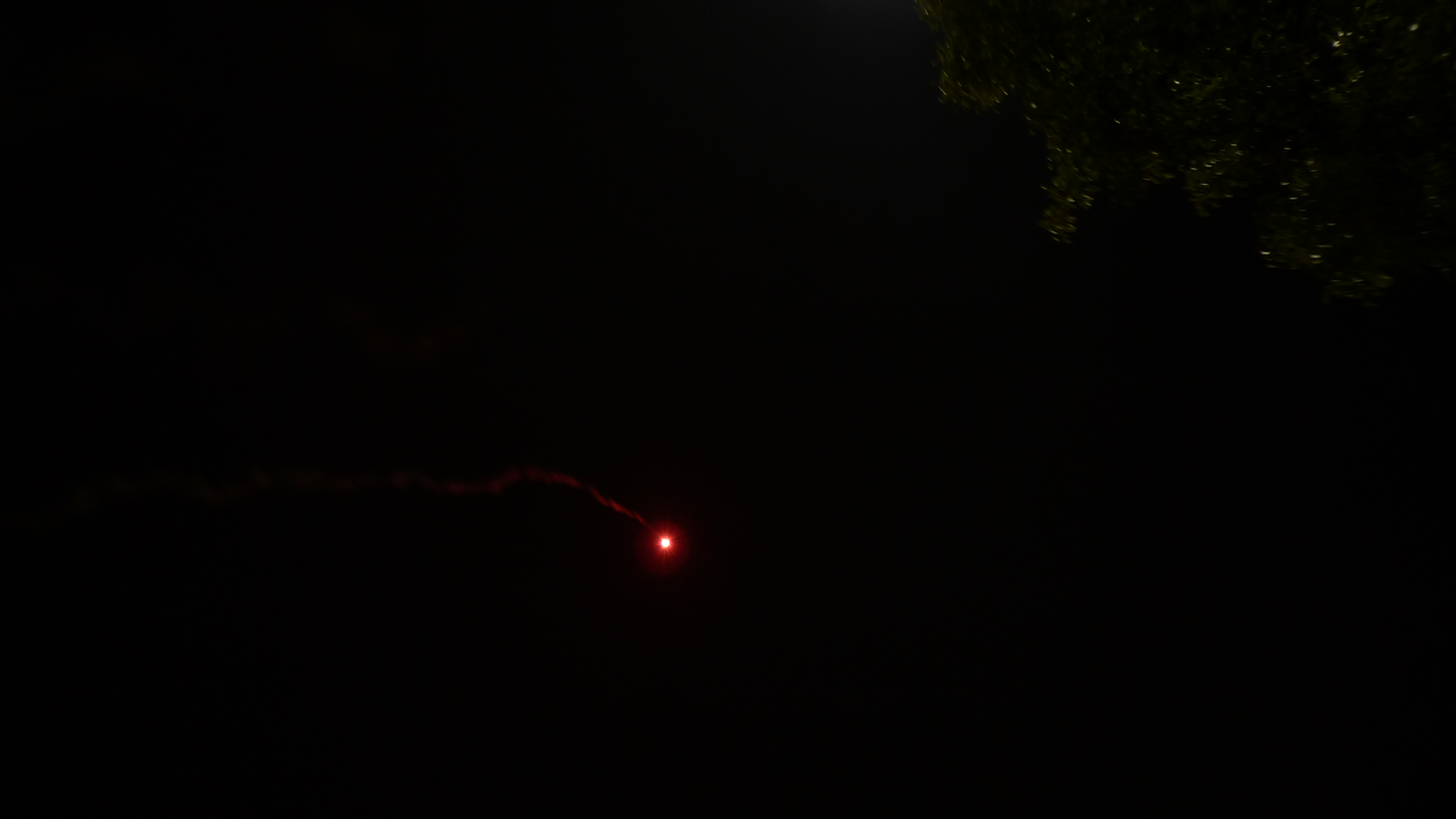 P1000226.JPG