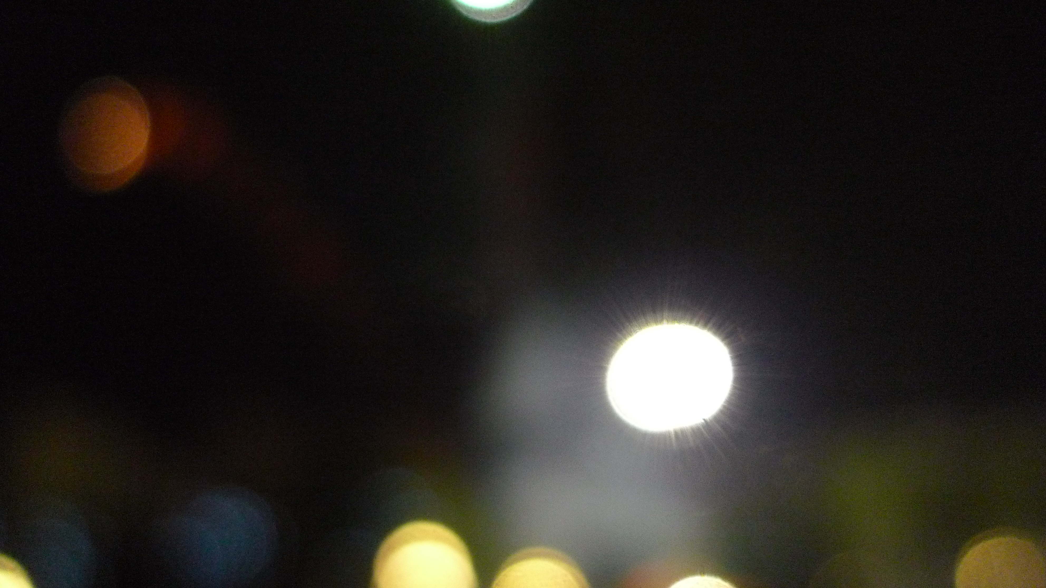 P1000233.JPG