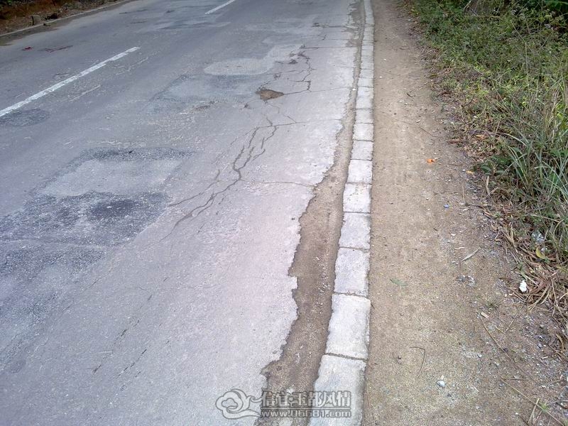20120125064.jpg