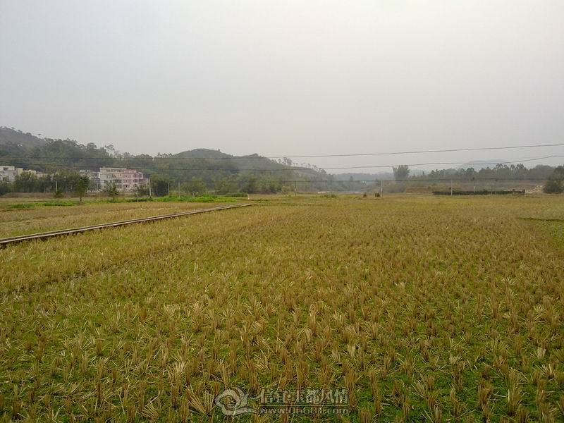 20120125066.jpg