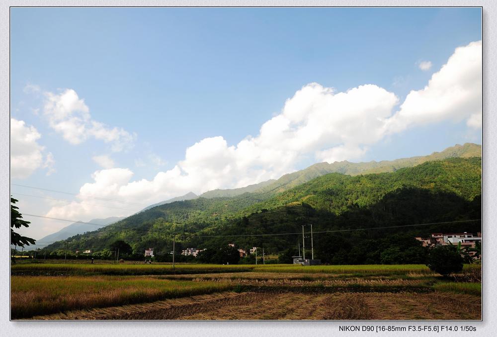 DSC_0204_nEO_IMG.jpg