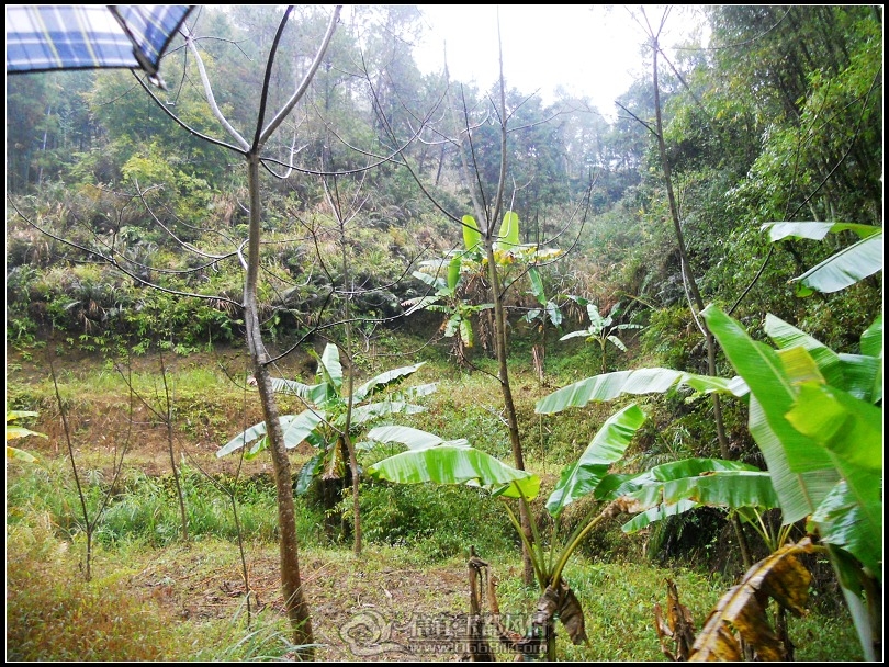 DSCN0168.JPG