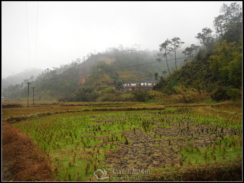 DSCN0184.JPG