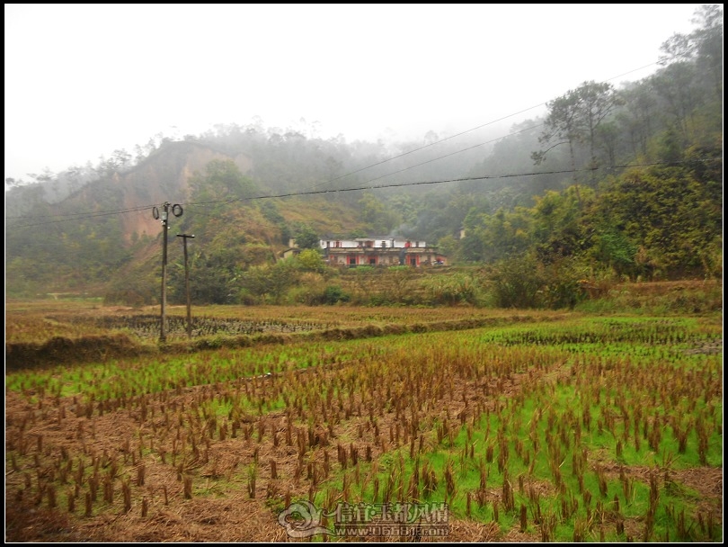 DSCN0186.JPG