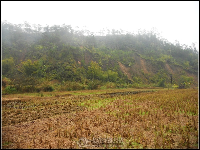 DSCN0192.JPG