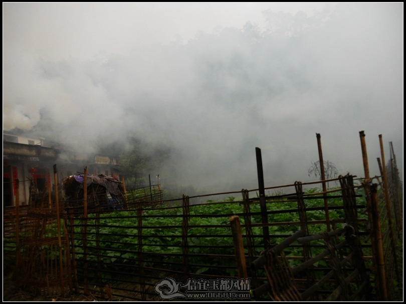 DSCN0195.JPG