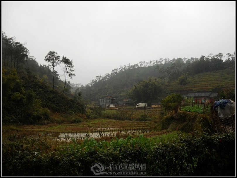 DSCN0202.JPG