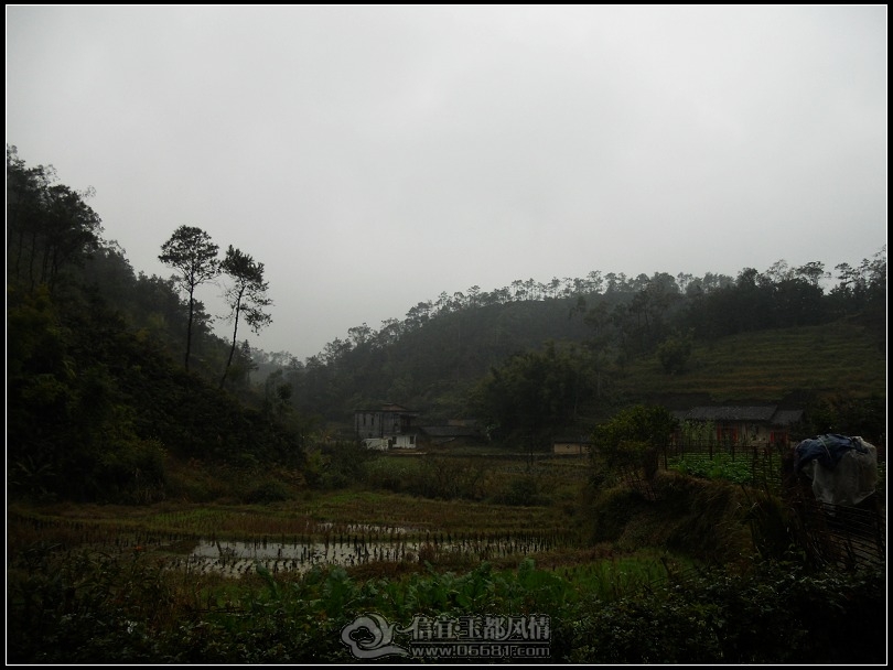DSCN0203.JPG