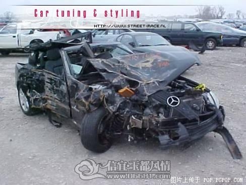 1306411.jpg
