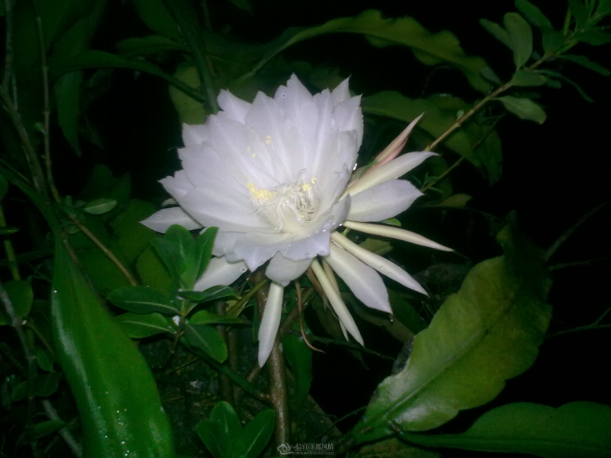 20111011_010.jpg