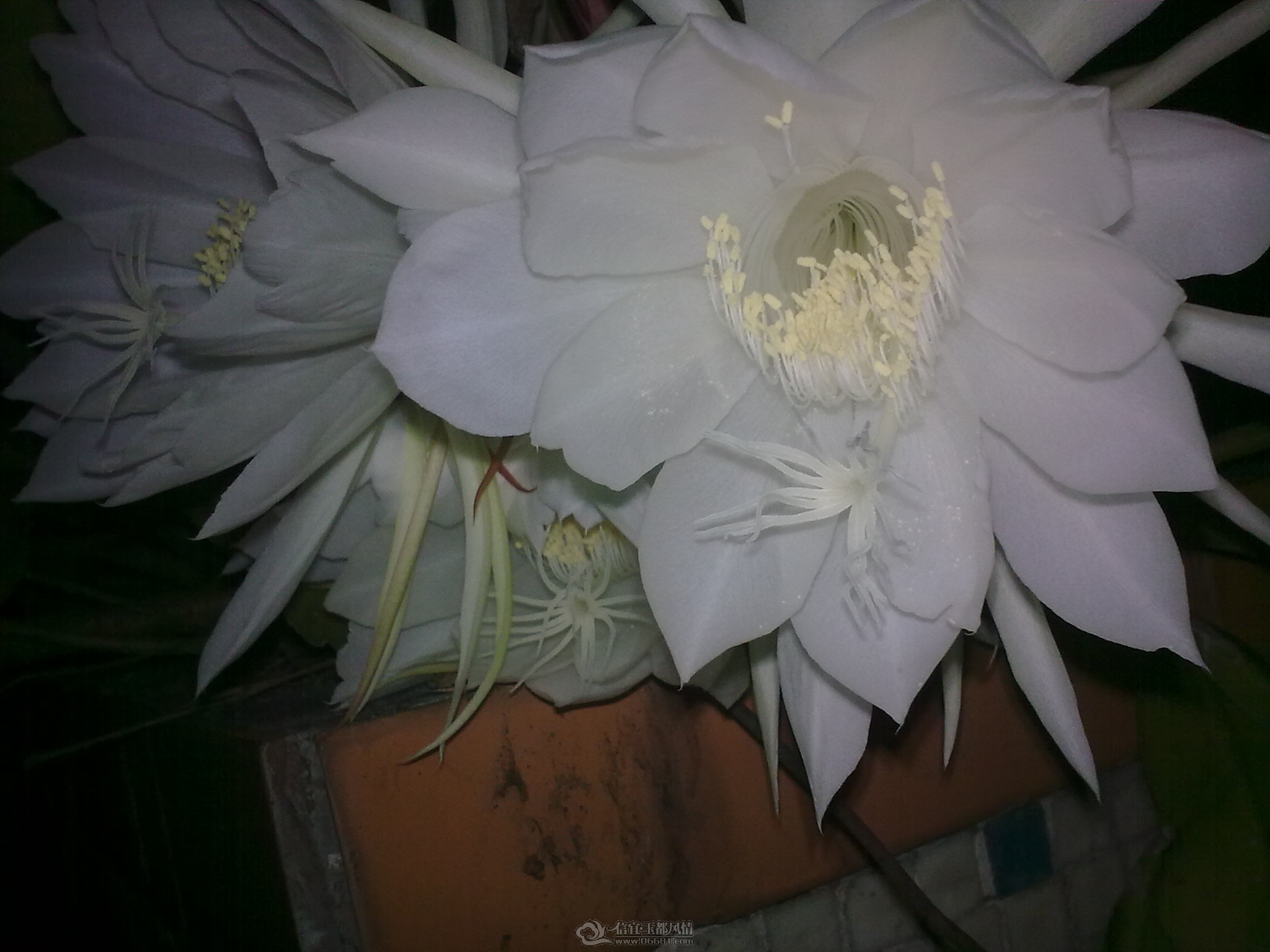 20111010_002.jpg