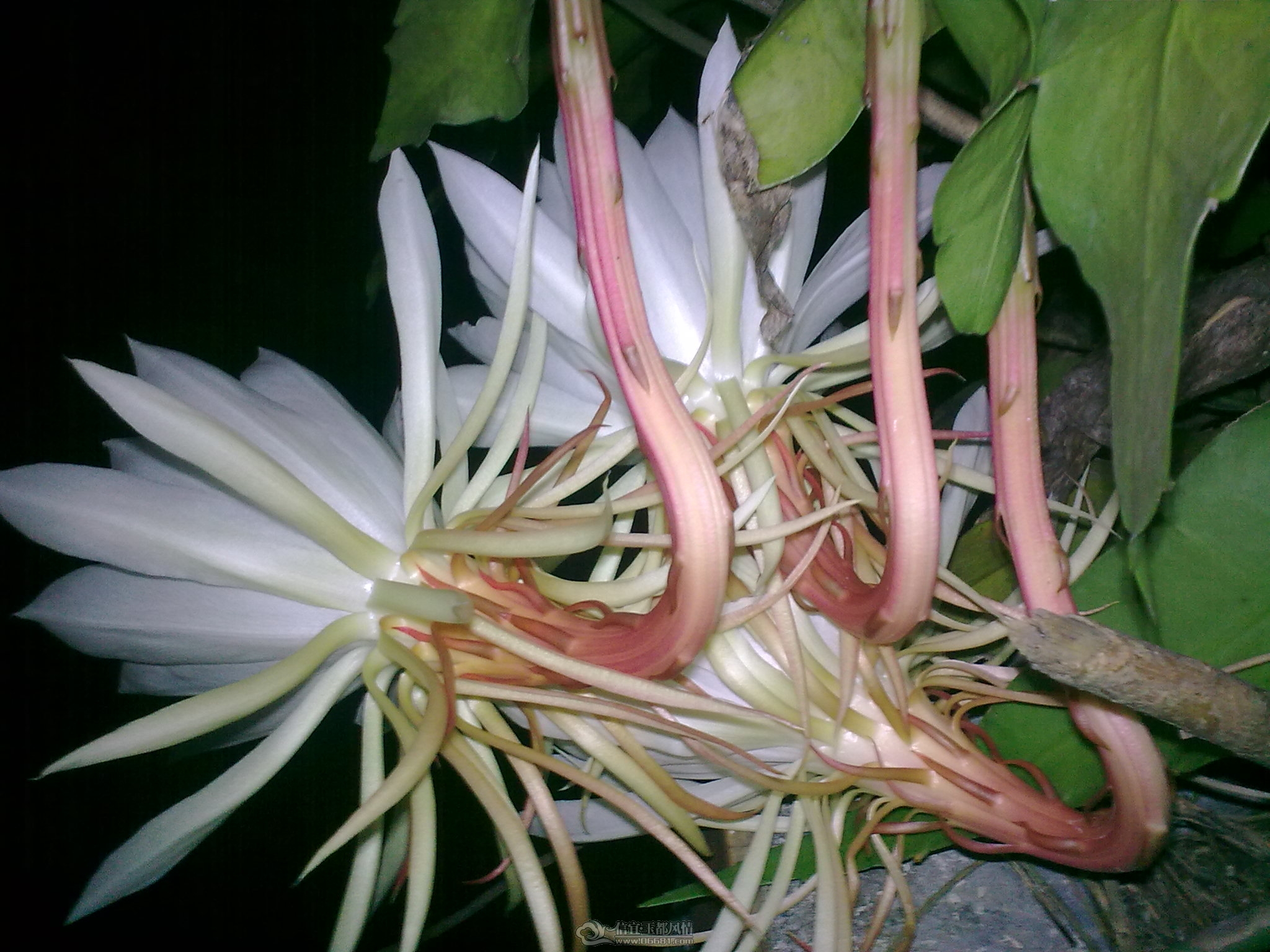 20111010_003.jpg