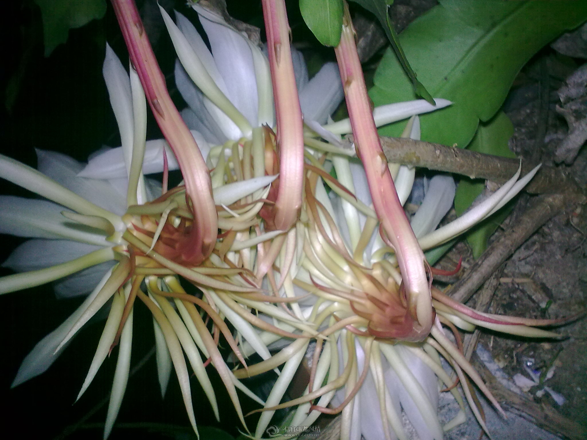 20111010_004.jpg