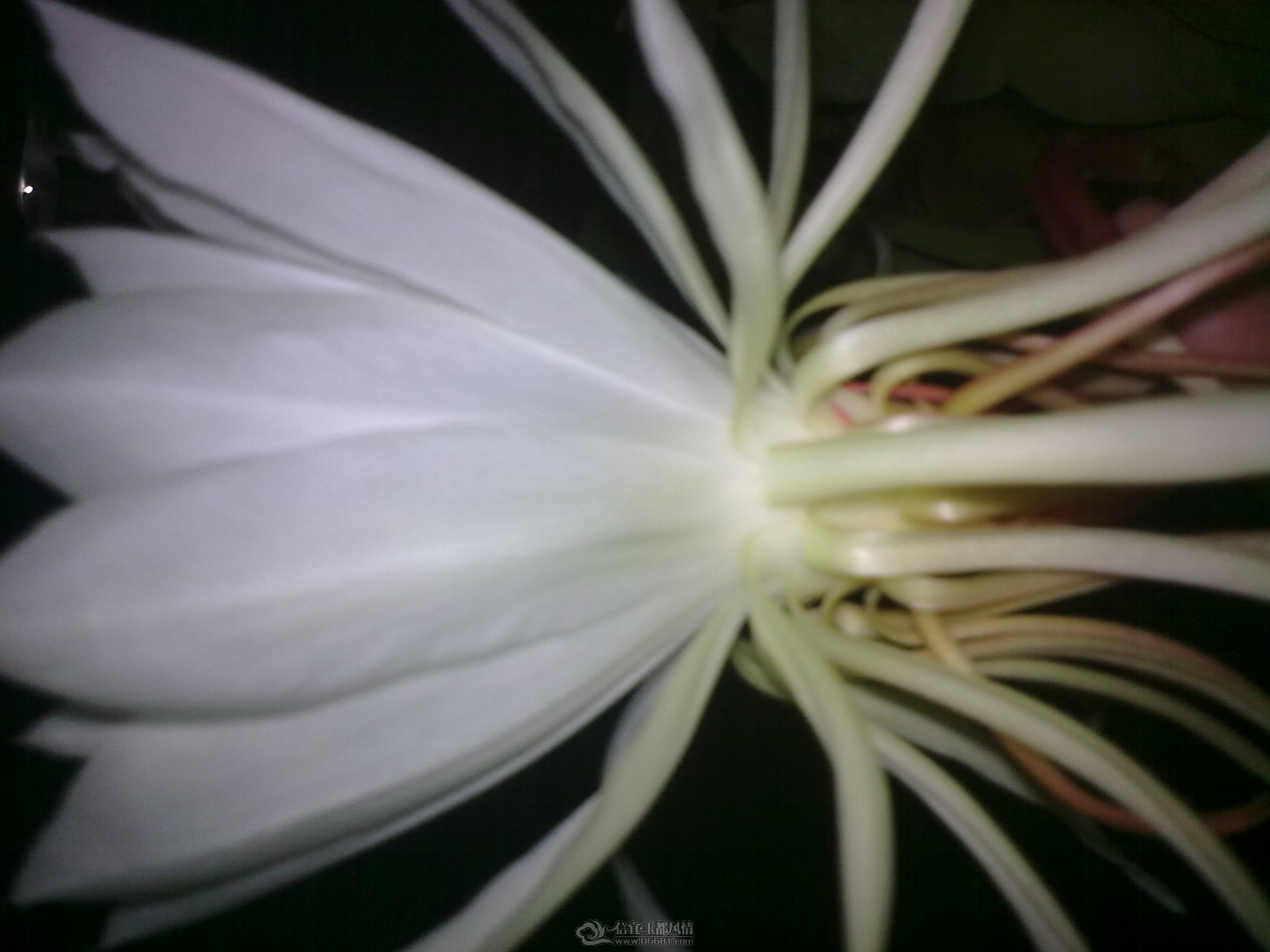 20111010_005.jpg