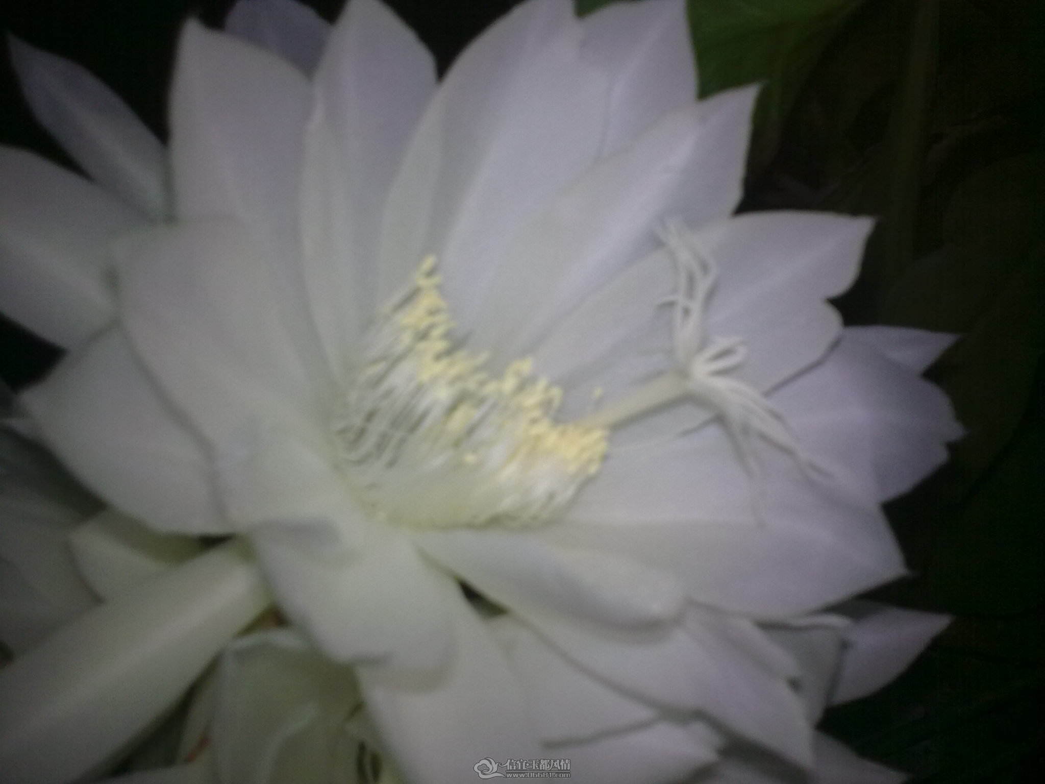 20111010_008.jpg