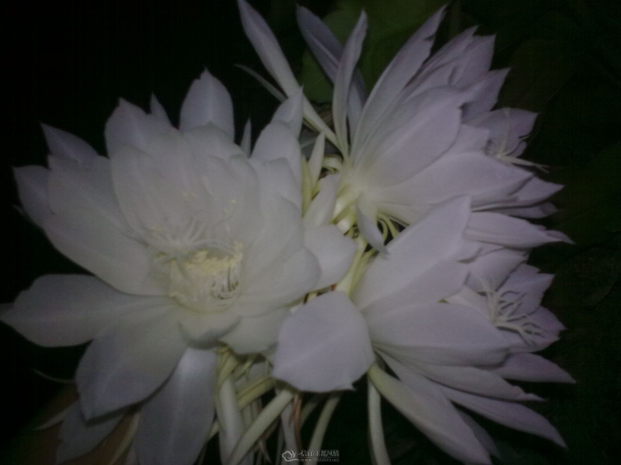 20111010_010.jpg