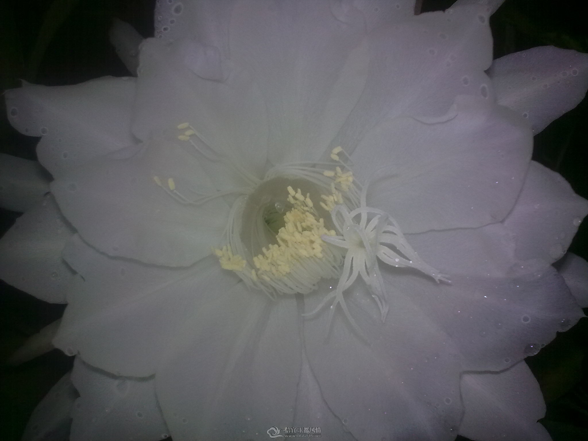 20111011_003.jpg