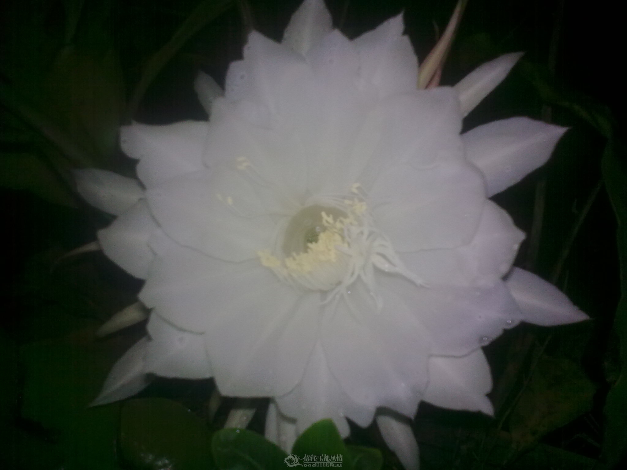20111011_002.jpg