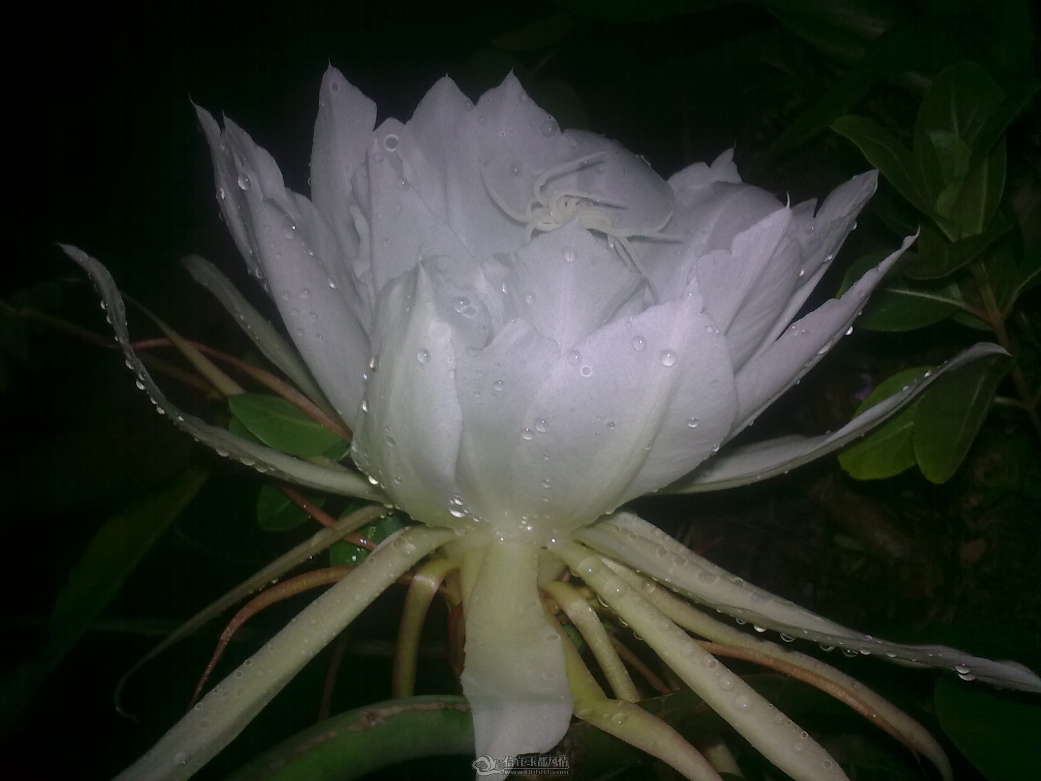 20111011_004.jpg