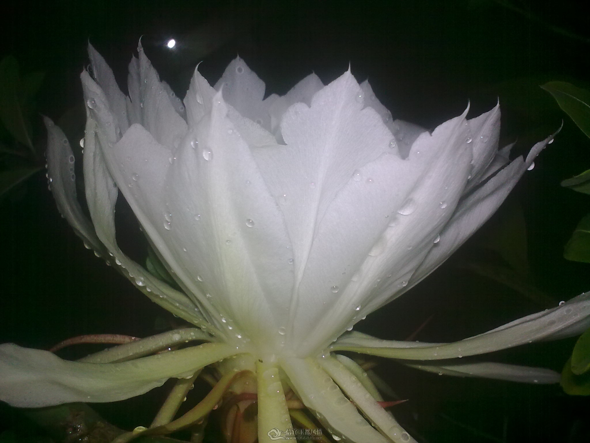 20111011_005.jpg