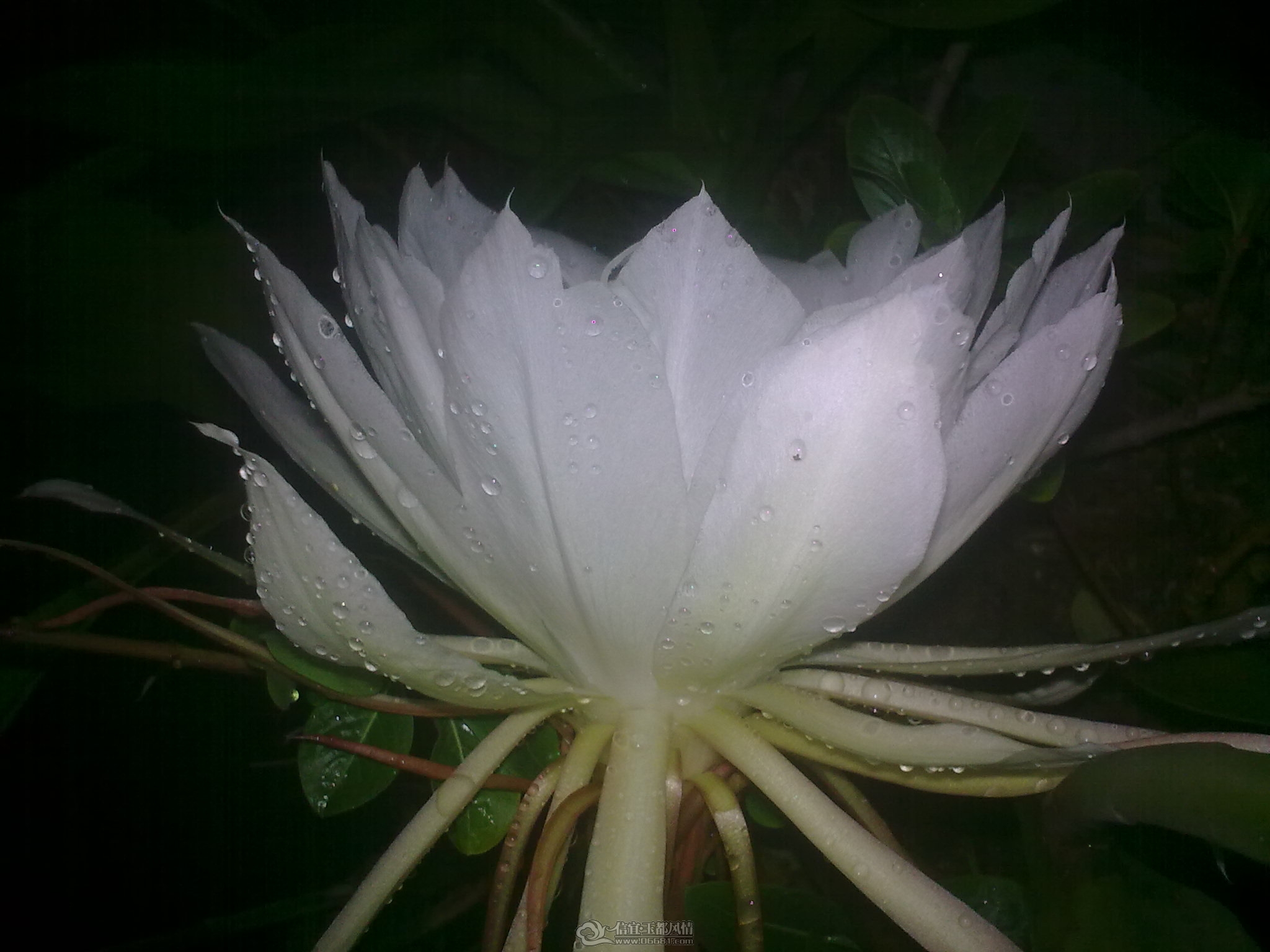 20111011_006.jpg