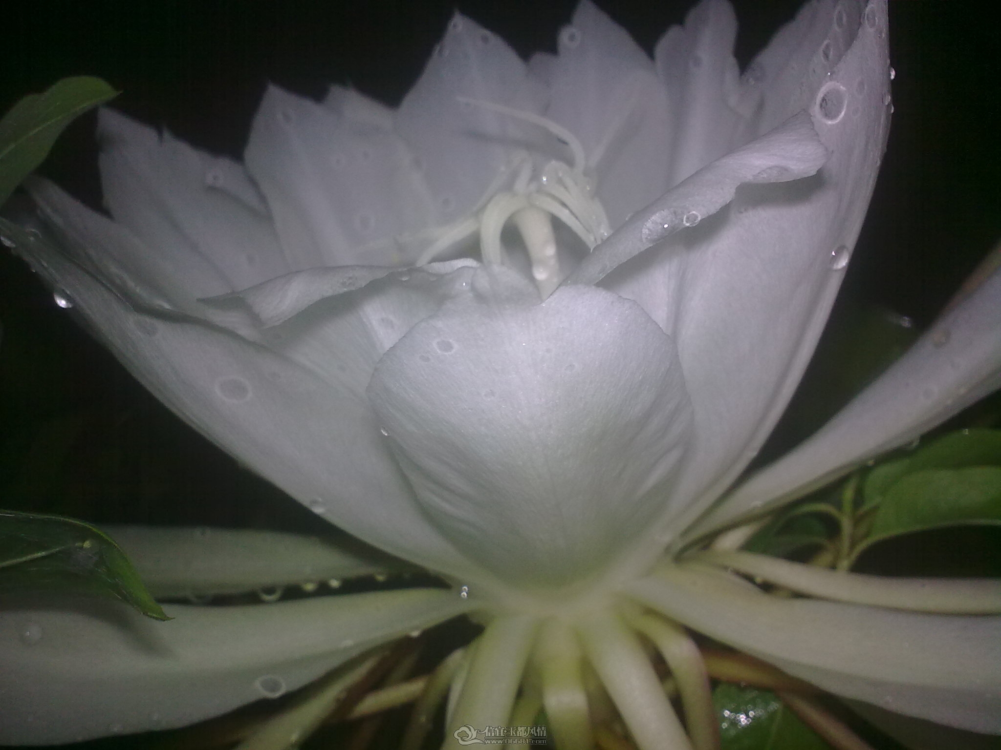 20111011_007.jpg