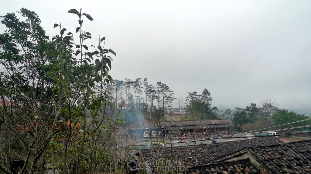 P1090883.JPG
