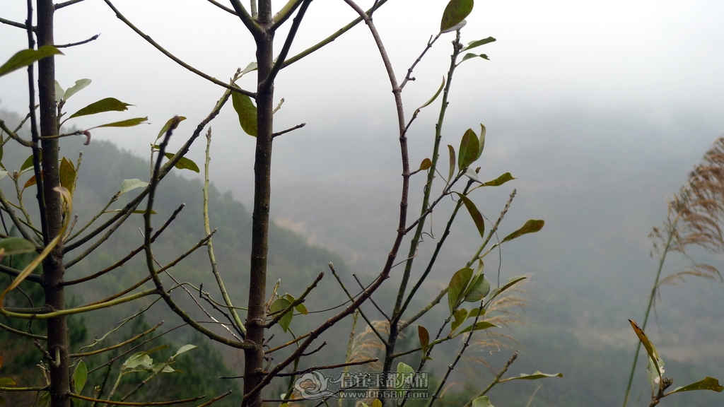 P1090933.JPG