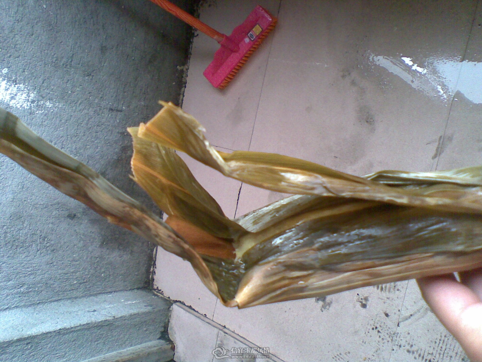 20120124.jpg