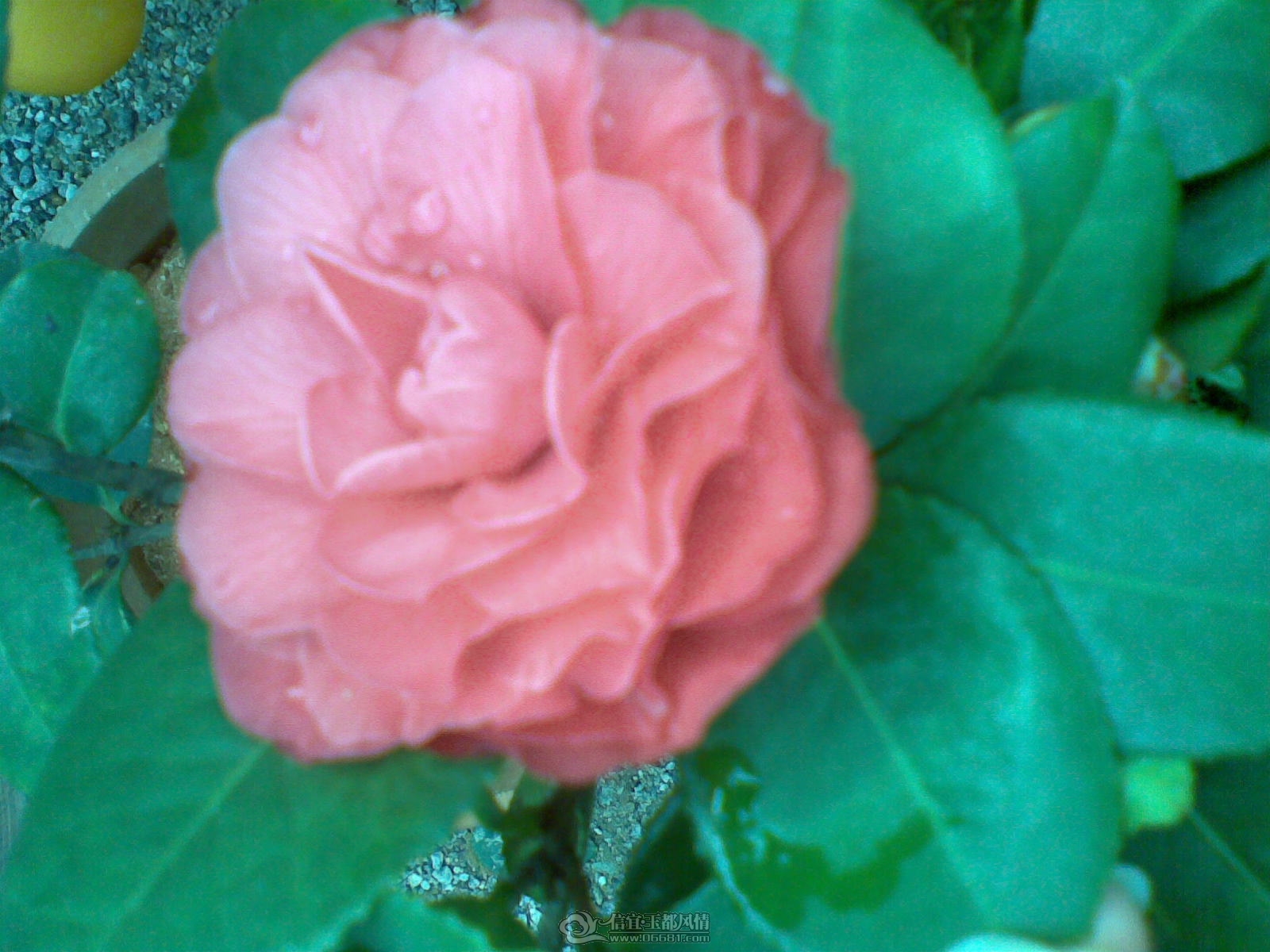 20120120(029).jpg