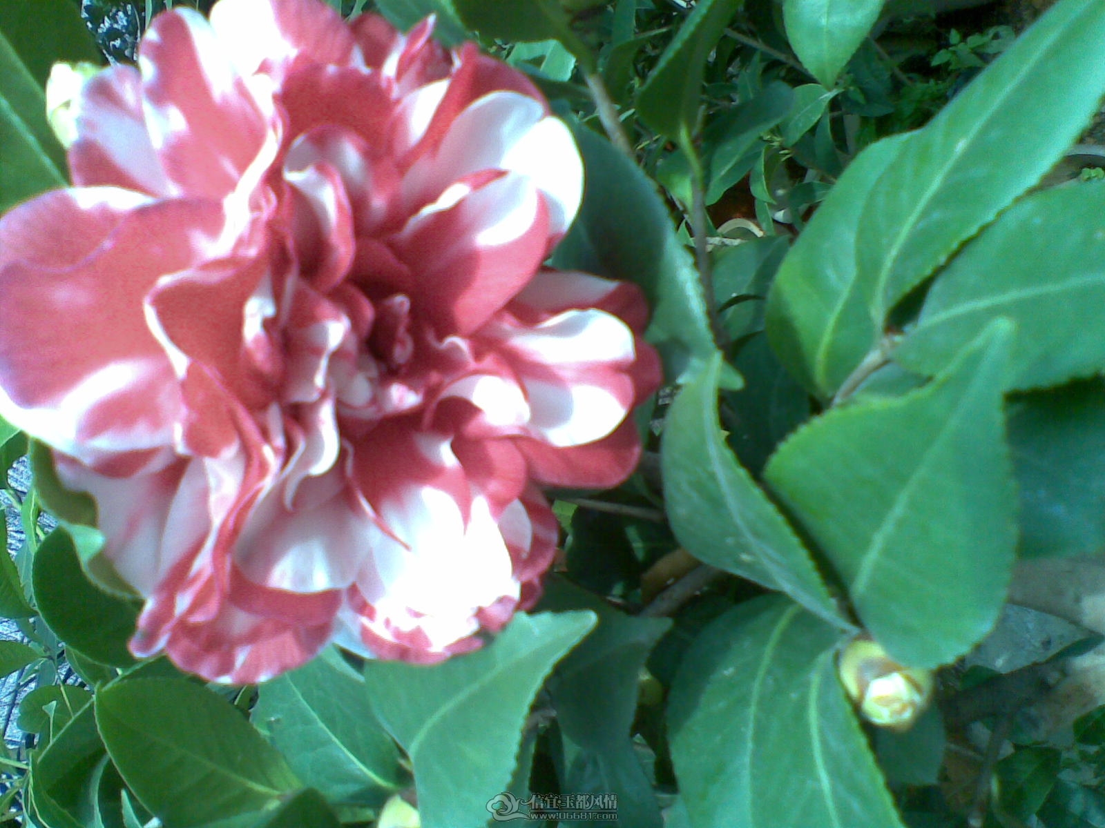 20120120(031).jpg