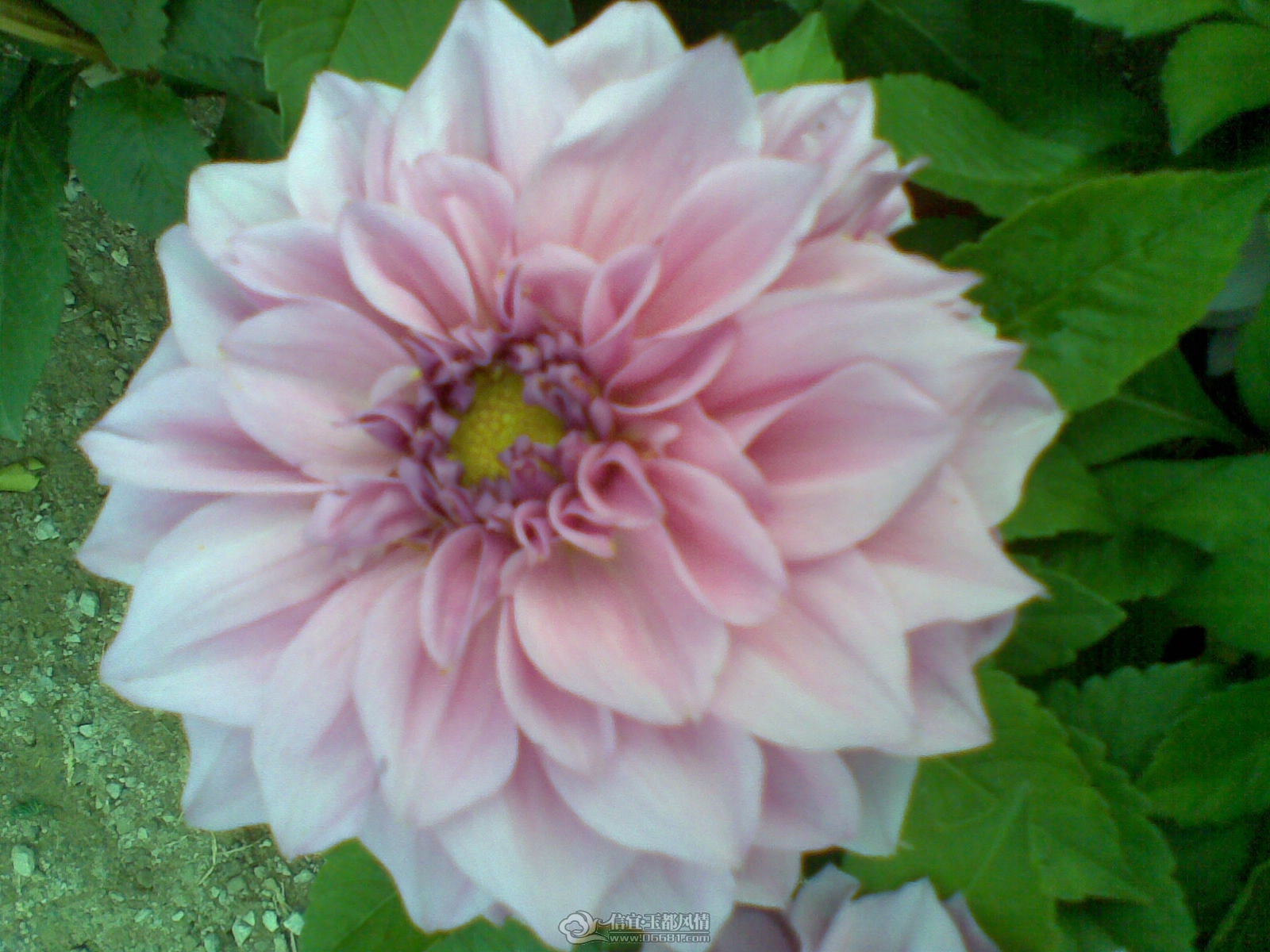 20120120(032).jpg