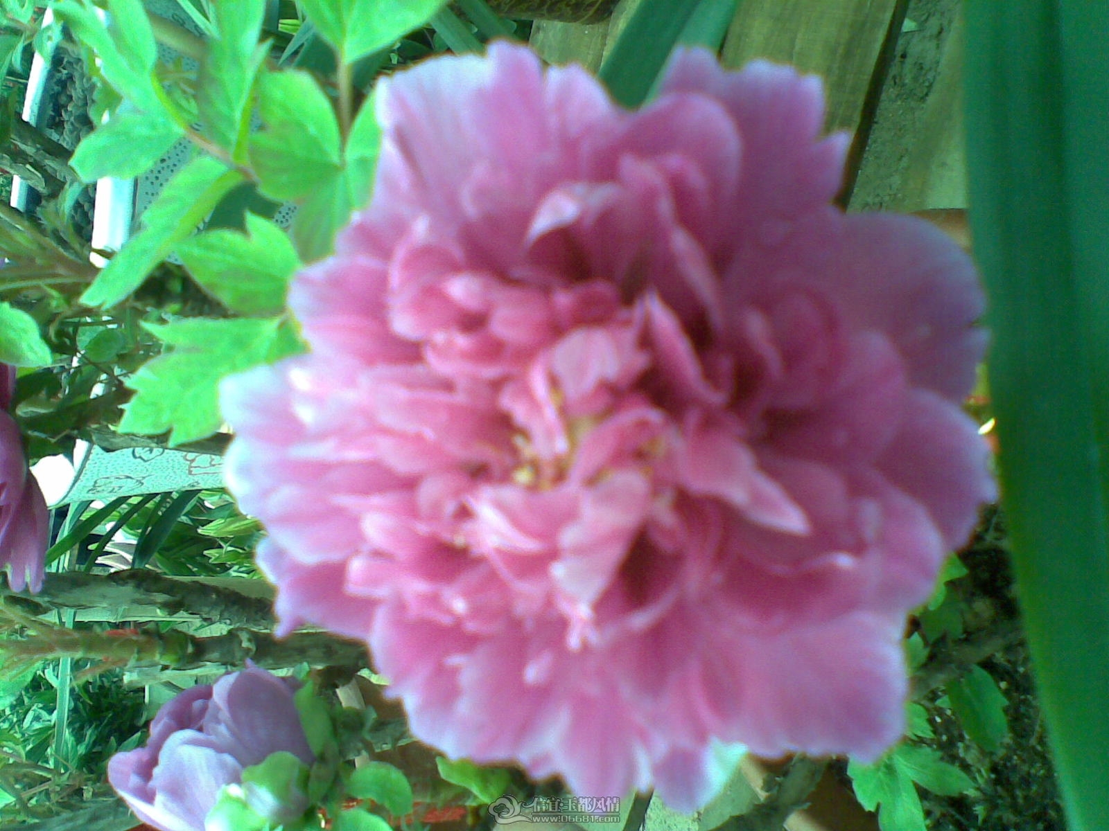 20120120(034).jpg
