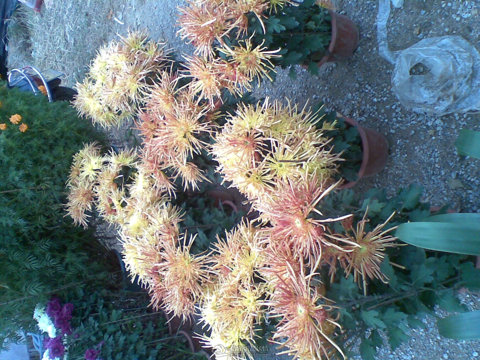 20120120(035).jpg