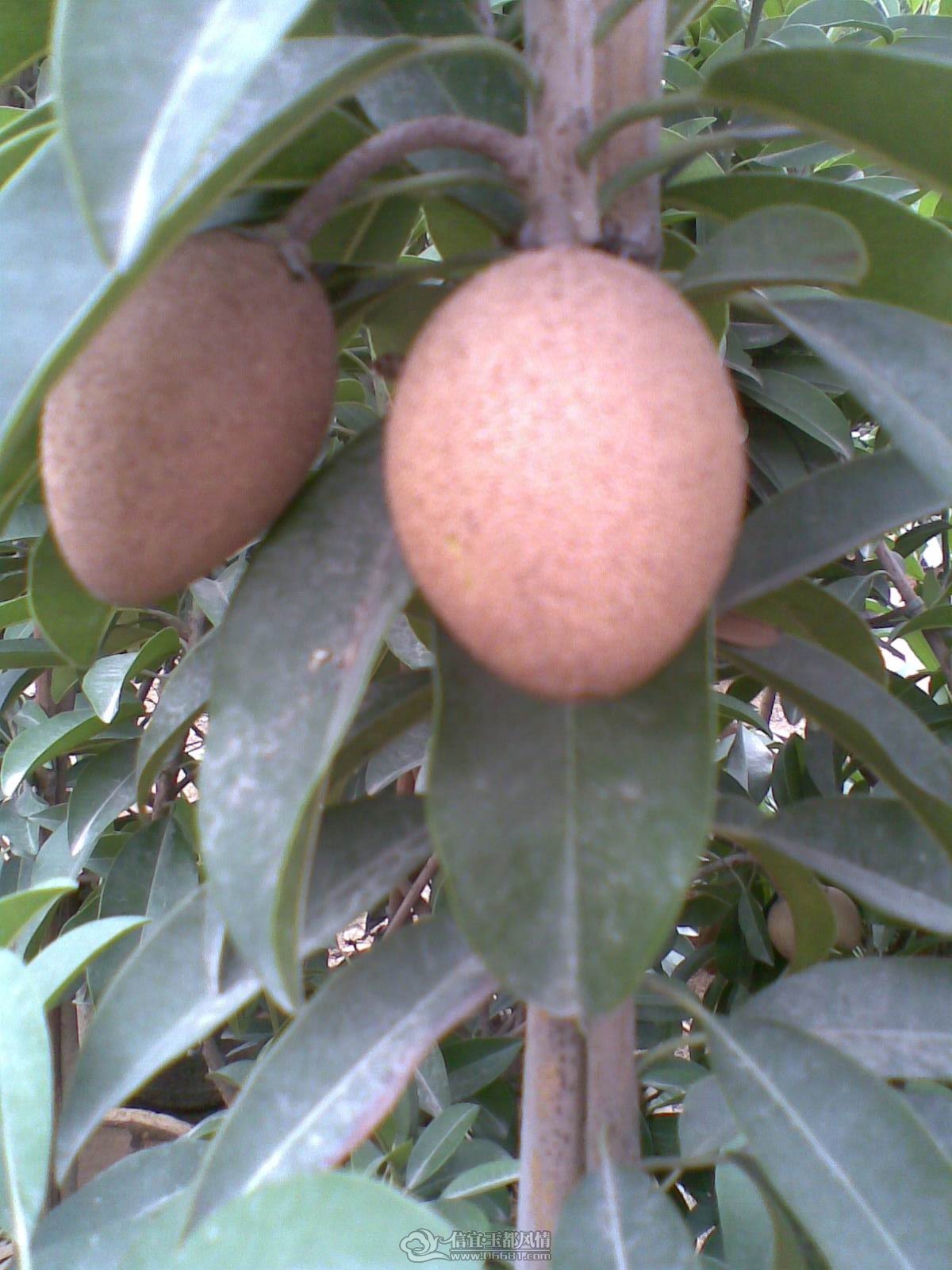 20120120(038).jpg