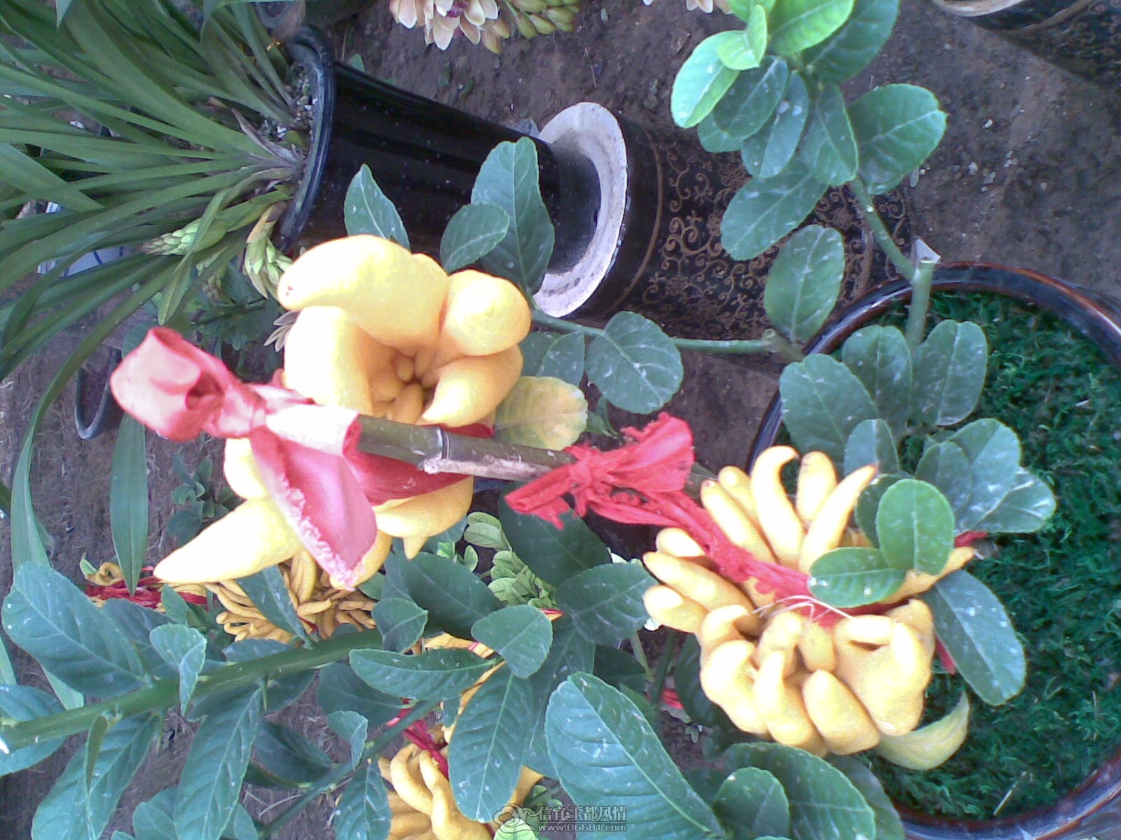 20120120(039).jpg