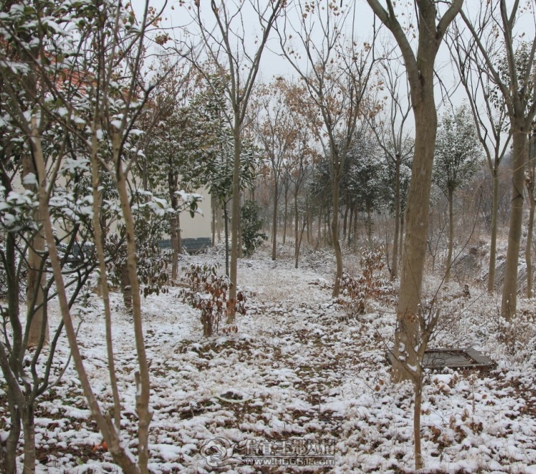 04.jpg