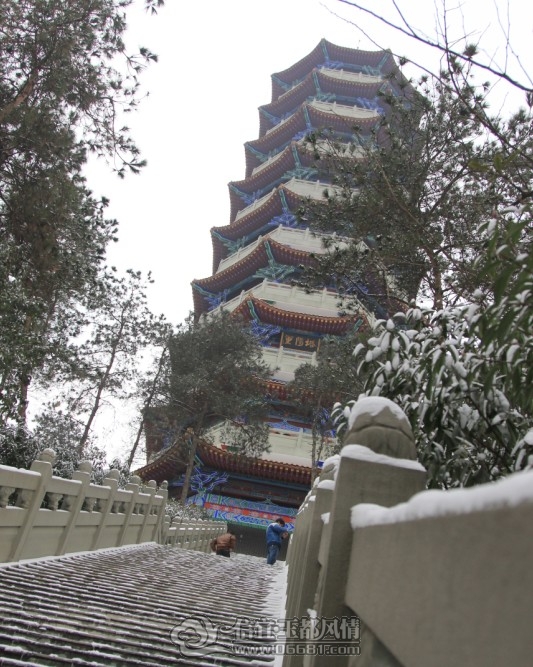 05.jpg