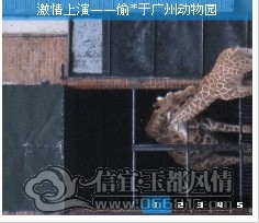 QQ��ͼ20120203222006.jpg